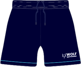 Barton Rovers JFC POMS Sky Training Shorts Poms 26/27 - Adult